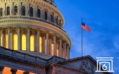 Understanding the Current Government Shutdown